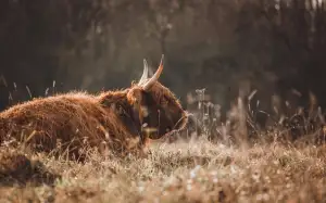 Jak Zjistit Který Notář Vyřizuje Dědictví